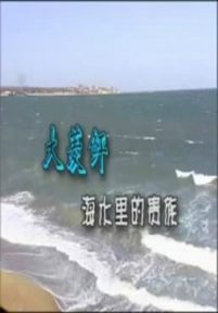 海水里的贵族